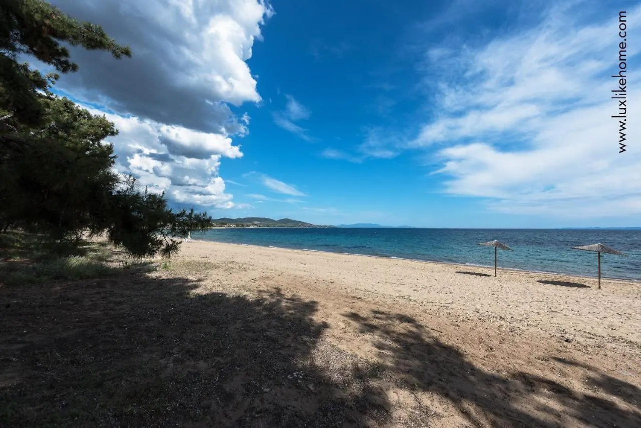 #Luxlikehome - Mediterranee Beachfront Summer House Kalyves Polygyrou Holiday home